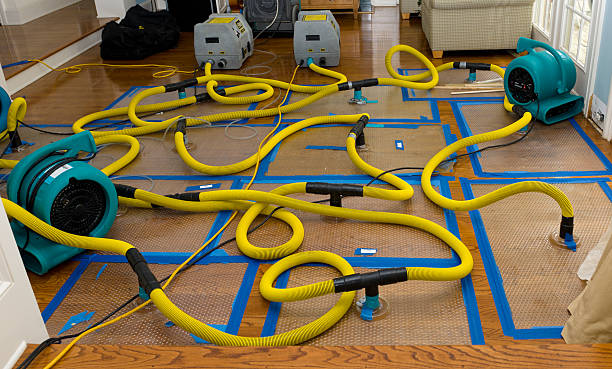 Professional Basement Flood Cleanup technician working in Big Creek, CA